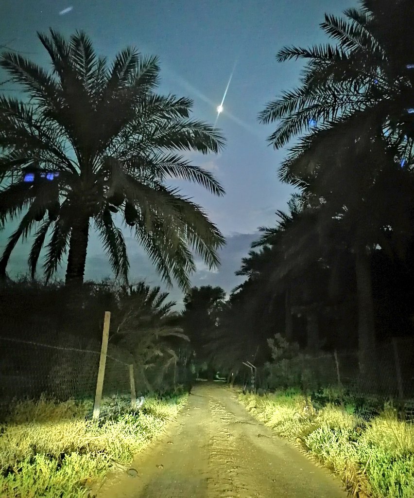 ستخضر  الدروب إذا  رضِينا
وينبت في يَبَابِ العمر  زَهْرا... 🌼💮

#مساء_الخير 🌹 

#تصويري هذا المساء