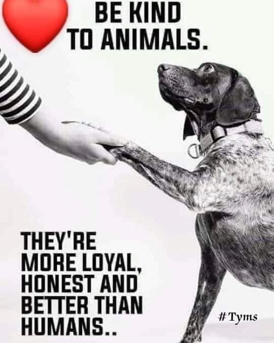 ed (@eddycam67) on Twitter photo 