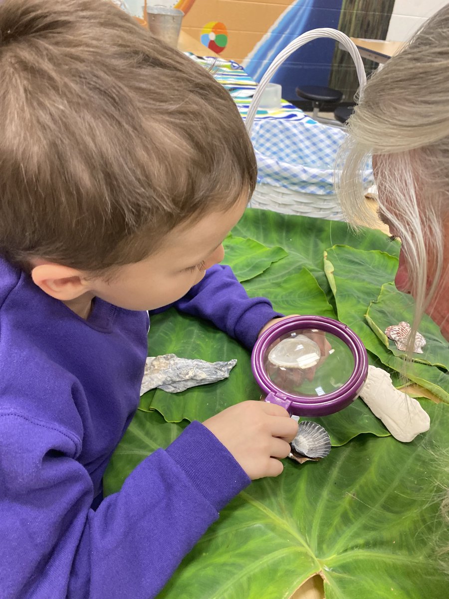 marietculver's tweet photo. “I’m seeing patterns I didn’t even know were even there.” -1st graders #DiscoveryDaysSeatack @VBGifted @SeatackDream @VBTitleI @vbschools #EmergingScholarsSeatack #handlens #PatternShapeDay https://t.co/LzBcd1sHYn