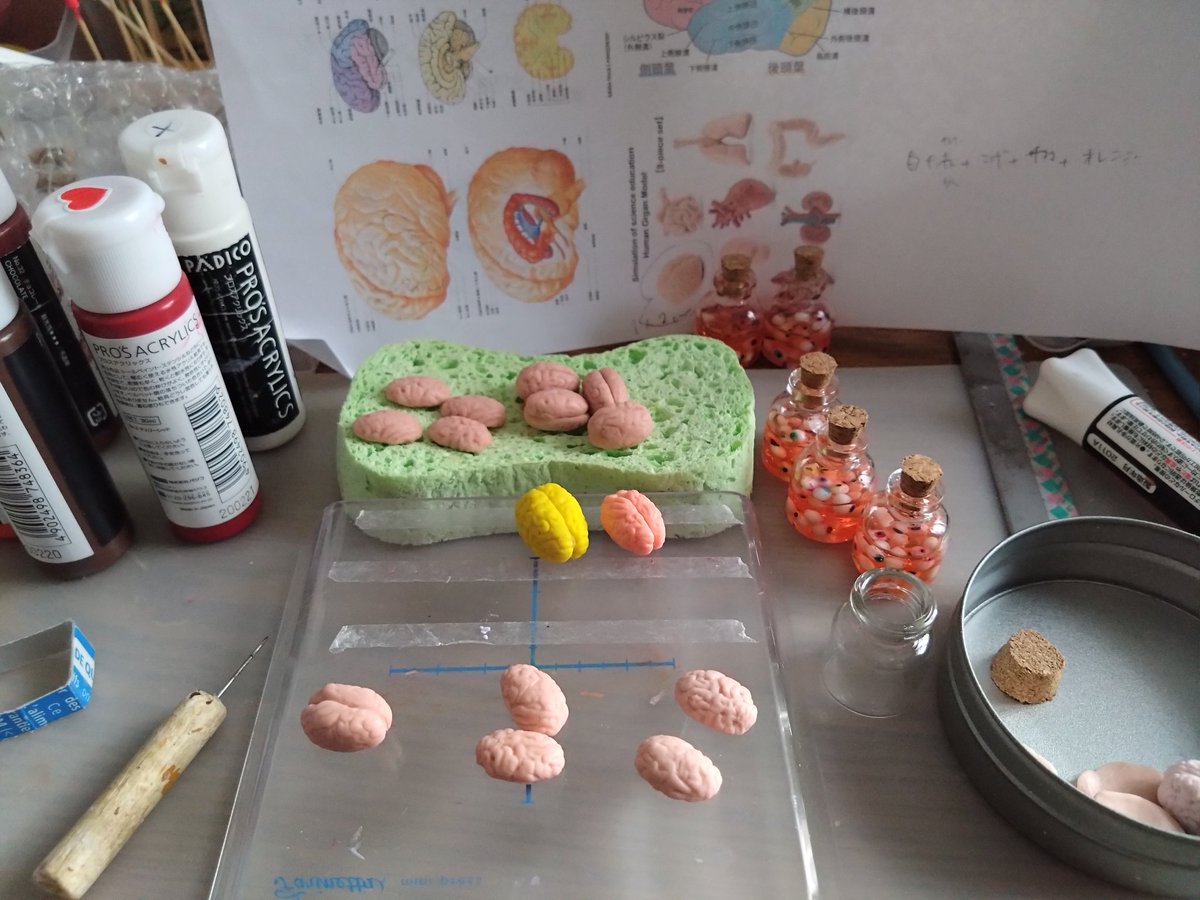 satomini_fr's tweet photo. 昨日から「脳みそ」作ってます。
写真や動画で脳みそをじっくり見て、観察して…。一体私は何をやっているのか🧠
#ミニチュアフード #ハロウィン #粘土 #Clay #脳 #観察 #Halloween #miniature https://t.co/6F7uTLHTzF