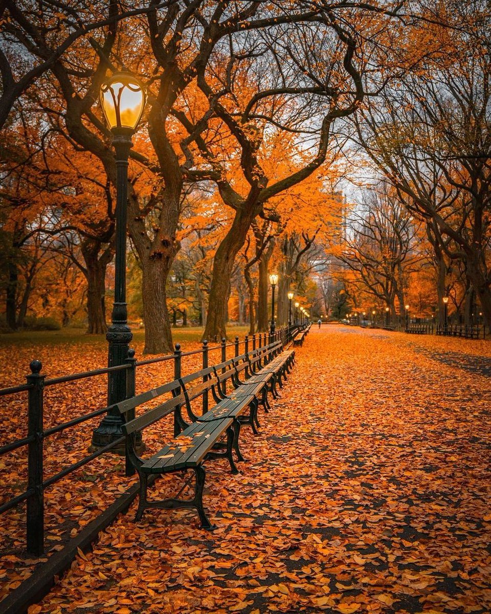 InformatiaNY's tweet photo. #centralparknyc #autumninnewyork #autumnfashion #autumnnewyork #autumn #fall #fallinnewyork #newyork #nyc #foliage #foliagenyc #fallcolors #autumncolors #newyork #newyorkautumn #photo #megapolis #urbanporn #architectureporn #skyscraper #photoftheday #travel #nycgo #fallinnyc https://t.co/yYkDGjJkXC