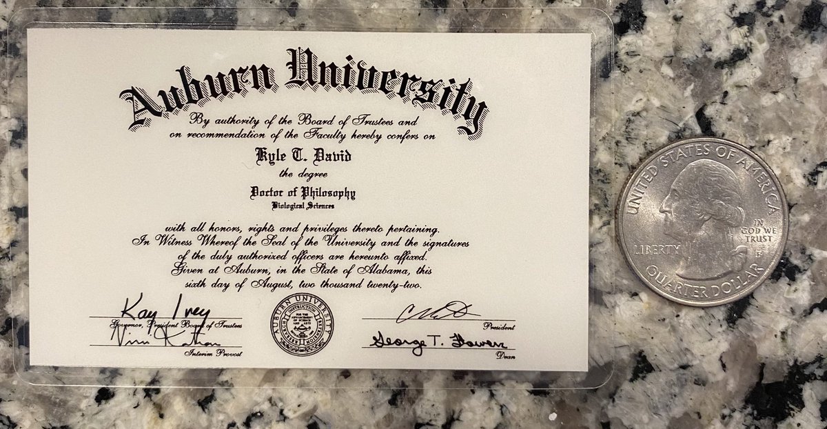 KyleTheDavid's tweet image. My university sent me a pocket sized version of my doctoral degree, is this common? I guess just in case I get pulled over by a cop who needs credible information about the ecological and evolutionary consequences of whole genome duplication