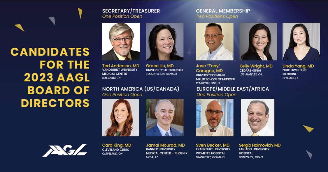 MigsRunner's tweet photo. Hi everyone! I’m going for something here. If you’re an @AAGL member, I would love to represent and support you on the board. Thanks to everyone who made it possible for me to be here with this stunning group of candidates! 
#MIGS #MIGSlife #gynfluencer 

https://t.co/msCl4ZkjMG https://t.co/sc6nhnAt3n