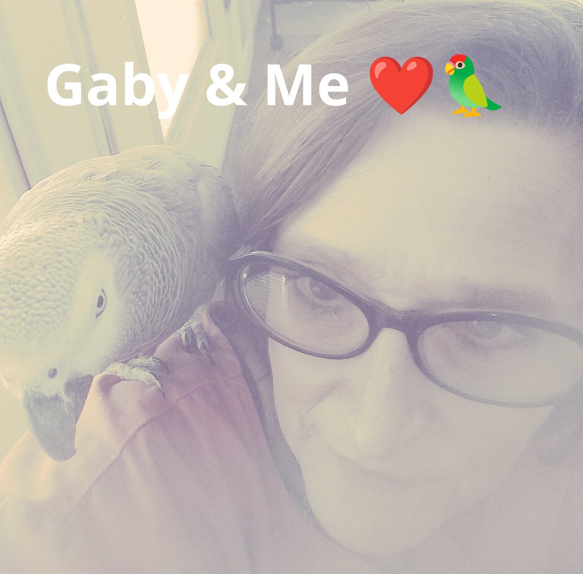 Gabriel and I are bonding quite nicely! #CongoAfricanGrey #ItsLove FlockofSixandahalf