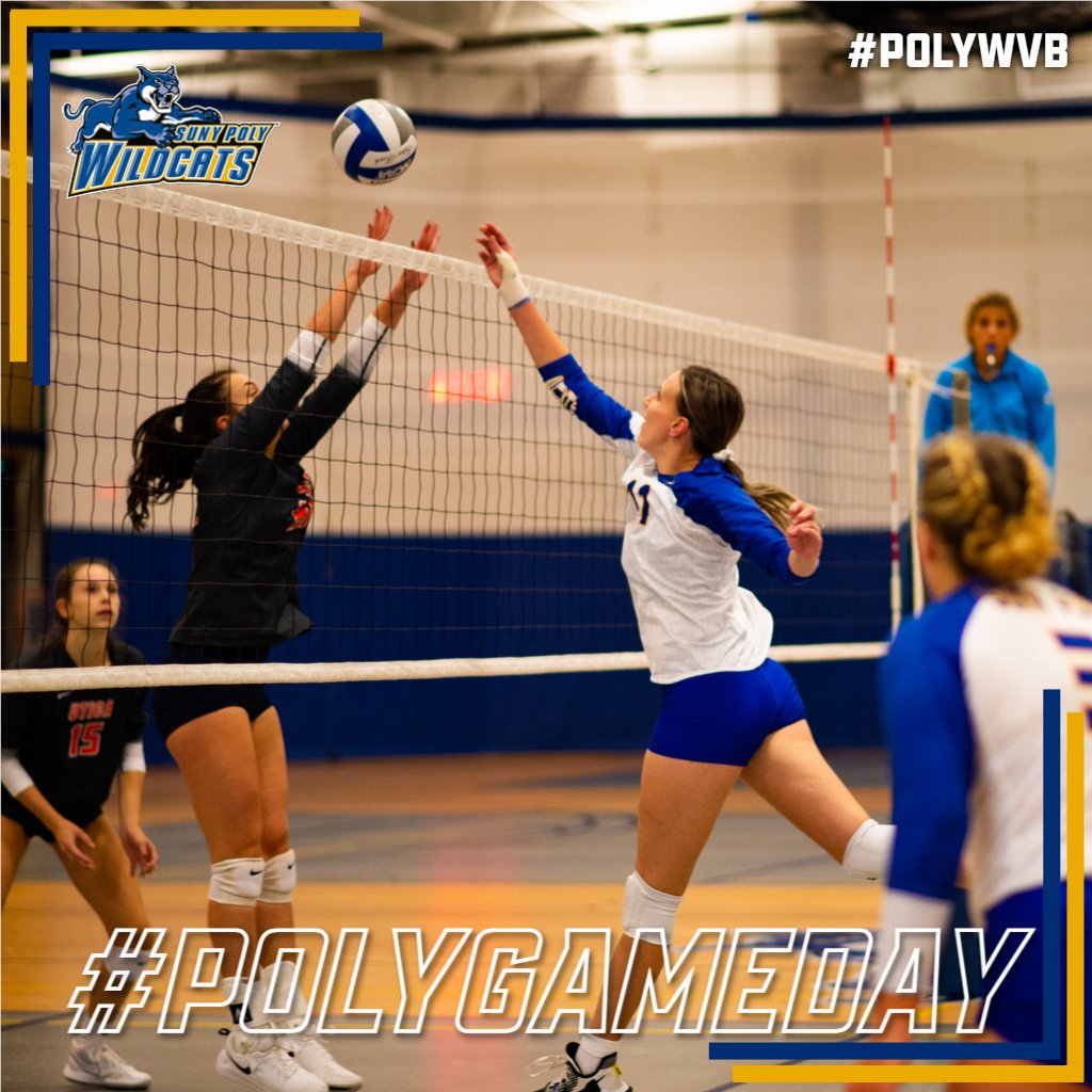 PolyWildcats's tweet photo. #PolyGameday๐ก๐ต๐
Womenโs volleyball travels to Keuka College for a tri-match. The Wildcats will take on Hilbert and Keuka.
๐ - 1:00 PM
๐ - Keuka Park, N.Y.
๐บ๐ - Check our schedule for live coverage links
#PolyWVB #d3vb https://t.co/DHsLlZfBRj