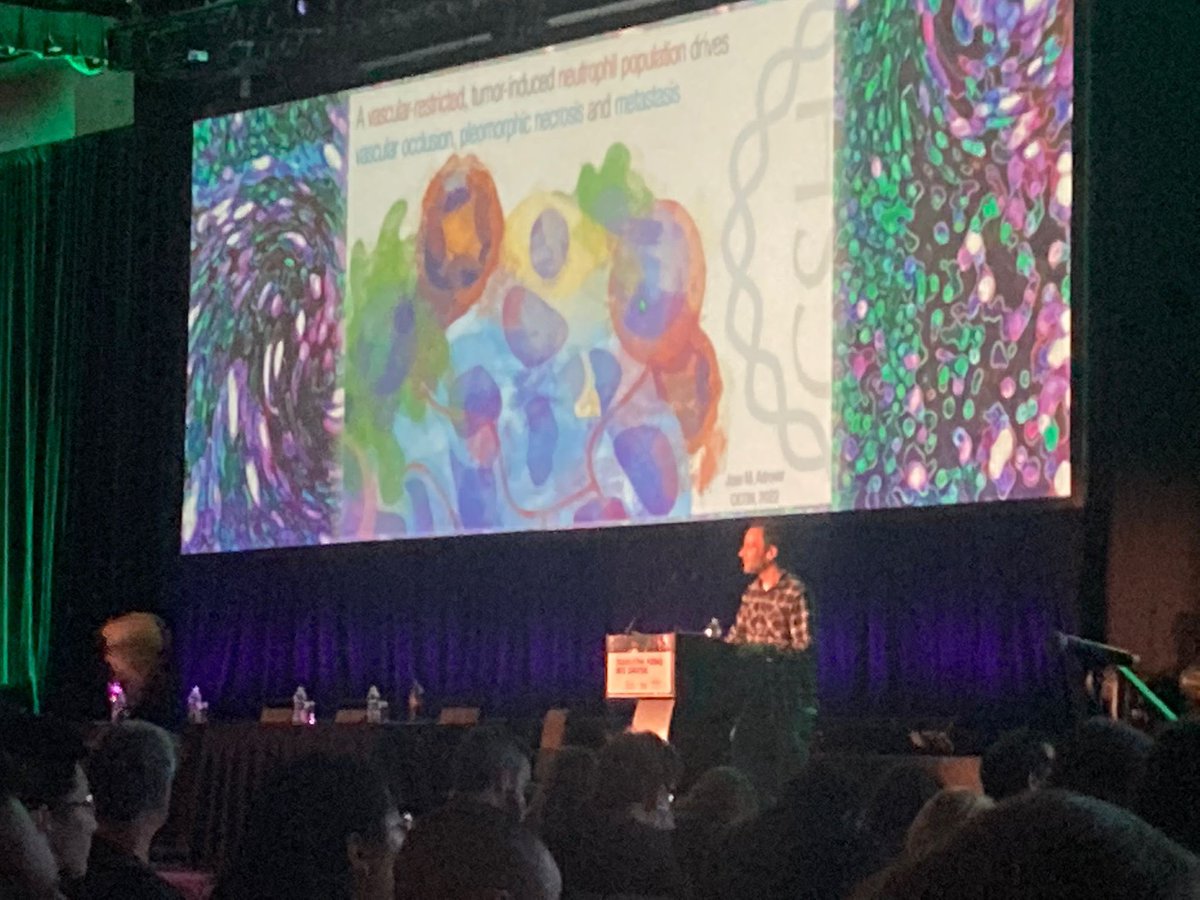 megeblad's tweet photo. Leaving a very inspiring #CICON22 meeting. A personal highlight was to watch my postdoc @niseto give a beautiful presentation on how neutrophils cause tumor necrosis and metastasis (NETs are involved - of course). https://t.co/bWkCksXdWu