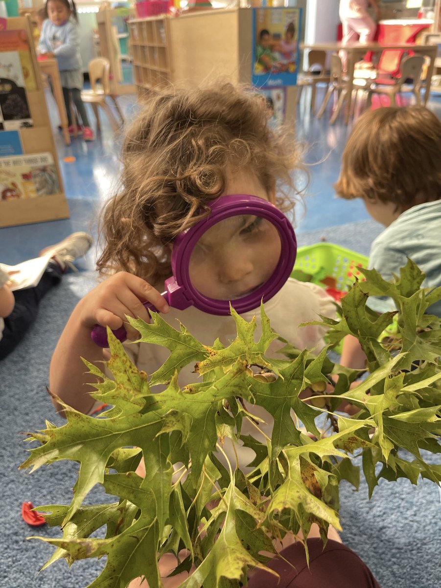 Magnet157's tweet photo. Building a community of exploration and a love of learning in our 3k classroom this week! @NYCDOED14 @NYCSchools #lifelonglearning  #STEMeducation https://t.co/zUZpx5V6cQ
