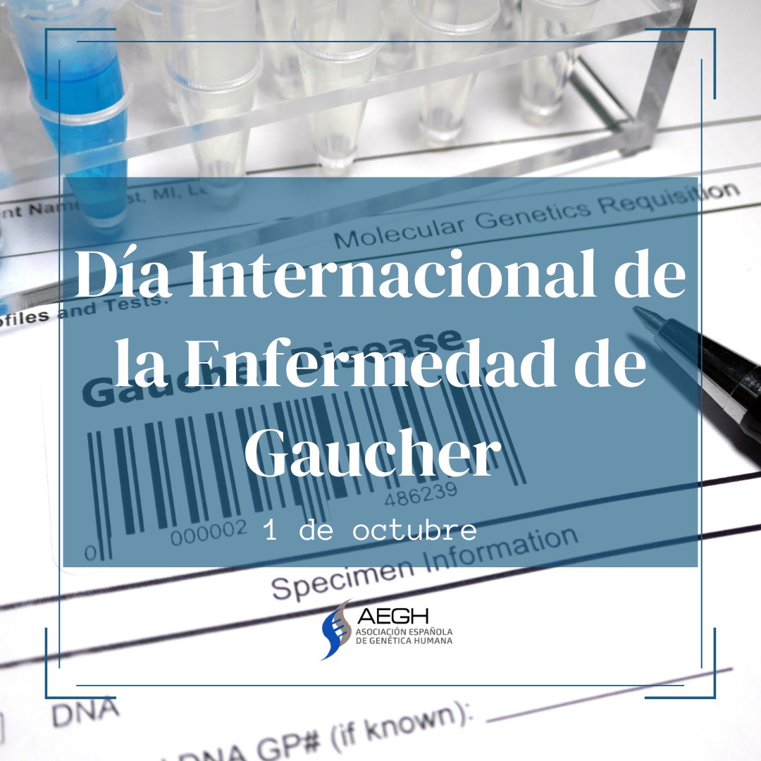 El 1 de octubre se celebra el Día Internacional de la Enfermedad de Gaucher, una enfermedad rara de carácter genético que se produce por la acumulación de grasas en distintas partes del cuerpo

#MásVisibles #EERR #GenéticaClínicaYA