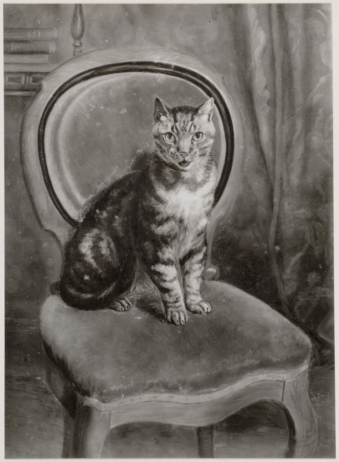 【最終価格】諏訪憲二作 猫のポートレート 諏訪憲二作 猫のポートレート