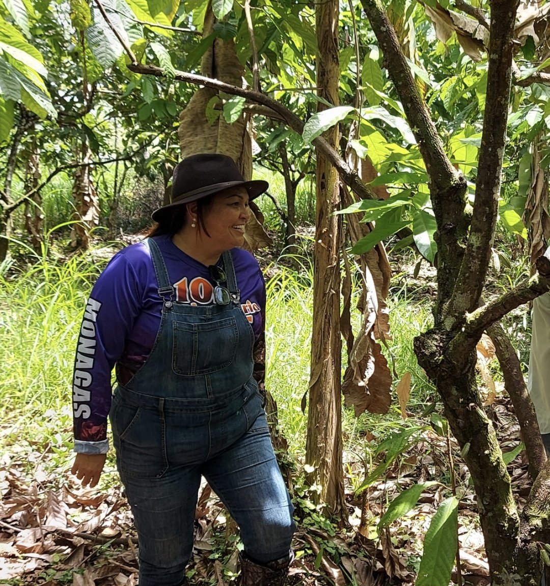 leudysgonzalez's tweet photo. #1Oct Desde hace 8 años celebramos el Dia Nacional del Cacao. Propuesta presentada por @fundatierra y aprobada por la @Asamblea_Ven para enaltecer este rubro de la historia económica del país. Hoy insistimos en visibilizarlo y mostrarlo al mundo con orgullo.
#SeAdelantoLaParranda https://t.co/1nTZEMz7Hi