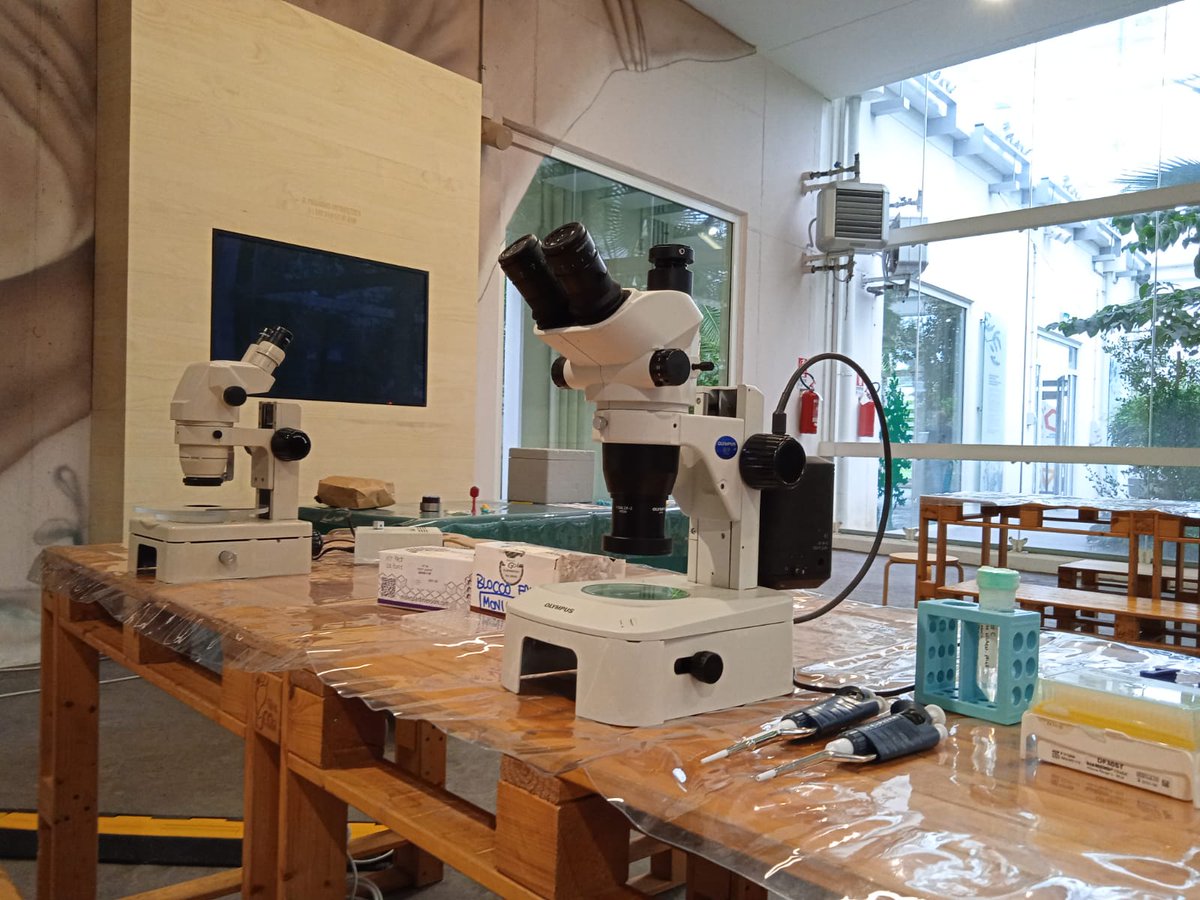 GabriGiachin's tweet photo. Bel momento di divulgazione scientifica all'Orto Botanico di Padova per #Science4all dove stiamo presentando "Le proteine sotto la lente di un microscopio ai raggi-X: dalla struttura delle molecole alle applicazioni biomediche" @UniPadova
@DiSC_UniPD
@DiBio_UniPD https://t.co/BmWPOPjG1P