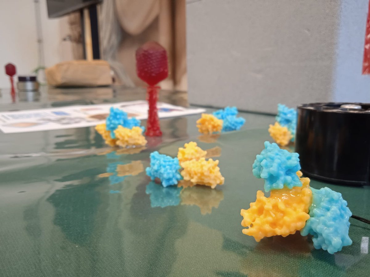 GabriGiachin's tweet photo. Bel momento di divulgazione scientifica all'Orto Botanico di Padova per #Science4all dove stiamo presentando "Le proteine sotto la lente di un microscopio ai raggi-X: dalla struttura delle molecole alle applicazioni biomediche" @UniPadova
@DiSC_UniPD
@DiBio_UniPD https://t.co/BmWPOPjG1P