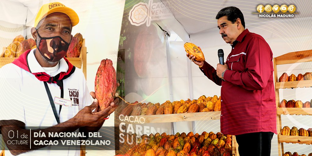 NicolasMaduro's tweet photo. Destacamos el valor de nuestro cacao, referencia e indicador de calidad en el mundo. Felicidades a todos los cacaocultores venezolanos. Sigan desarrollando y promoviendo las bondades de nuestra tierra. ¡Día Internacional del Cacao! https://t.co/HTSDEtb2Ge