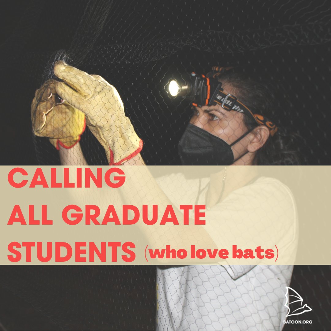 Bat Conservation International tweet media