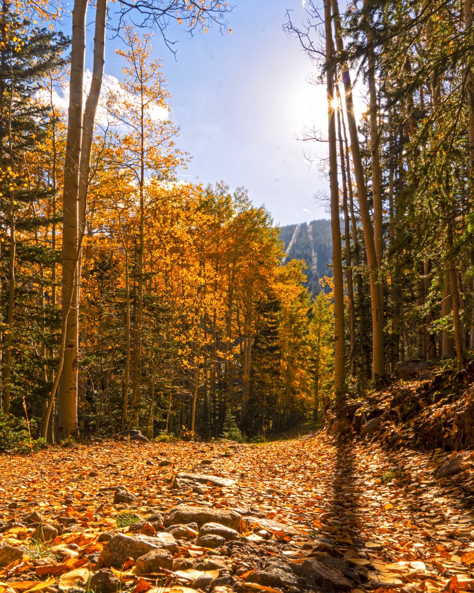 🍂Who’s ready to find some Ski Santa Fe gold?🍂

skisantafe.com/fall-activities

#skibueno #skisantafe