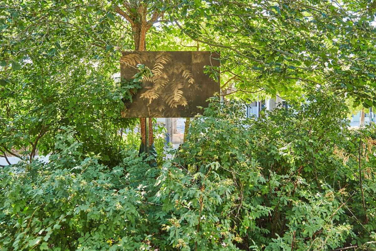 La vita e i «pensieri» degli alberi, i comportamenti animali, l’abuso del paesaggio, gli scarti della globalizzazione… Alla vigilia della prima edizione di <a href="/pianetaterraptf/">Pianeta Terra Festival 🌍</a> 
(Lucca, 6-9 ottobre), le prime pagine de «la Lettura» sono dedicate alla natura bit.ly/3C3EPW1