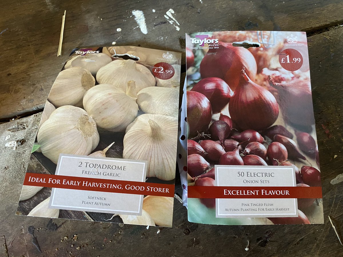 Some onions and garlic purchased for autumn planting #veg #growyourown