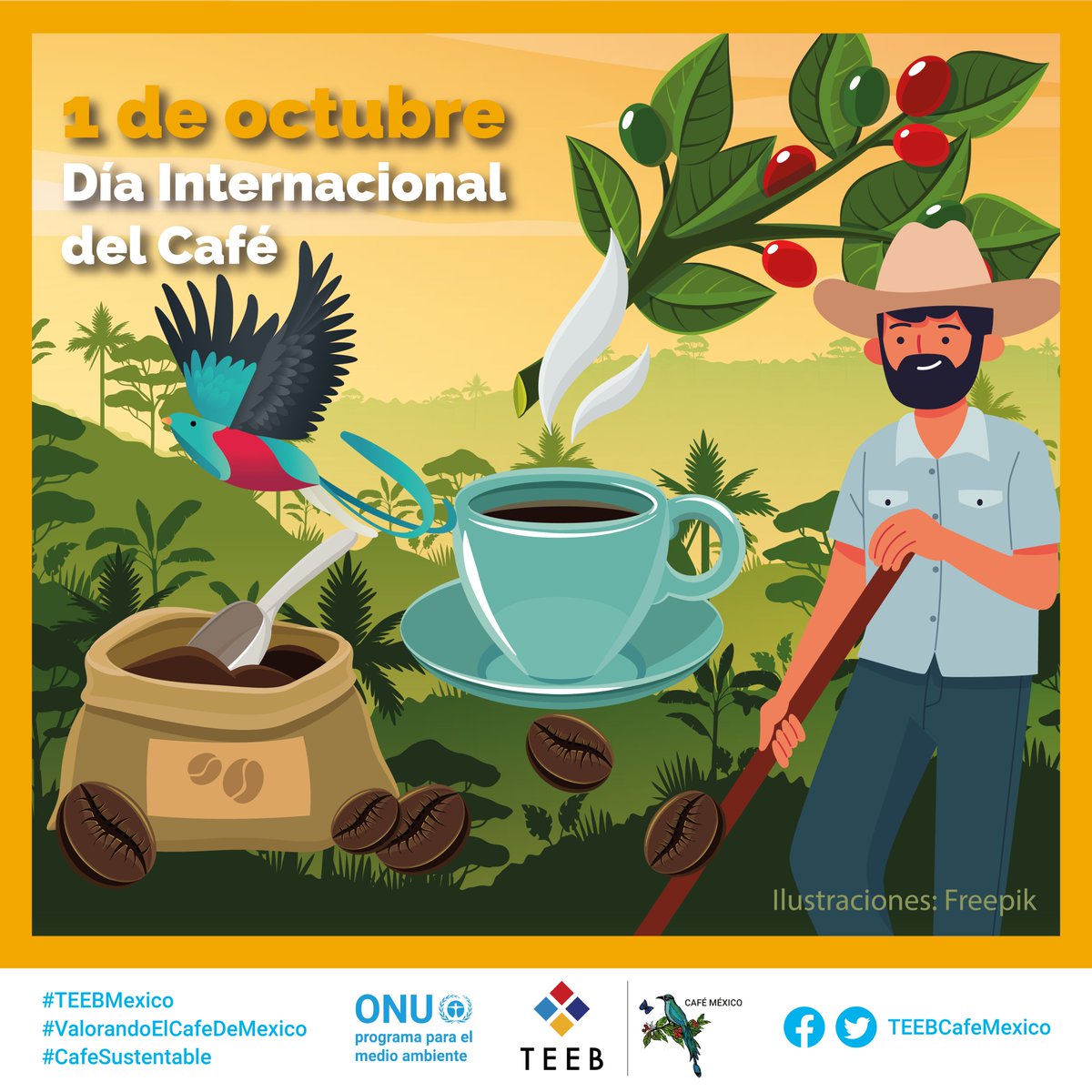 teebcafemexico's tweet photo. El café mexicano es valioso, no sólo por su excelente sabor, sino por la biodiversidad que resguardan los cafetales, su riqueza cultural y como motor económico, sustento de más de medio millón de personas. #cafesustentable #diainternacionaldelcafe #teebmexico #cafemexicano https://t.co/5bLPFbtaAR