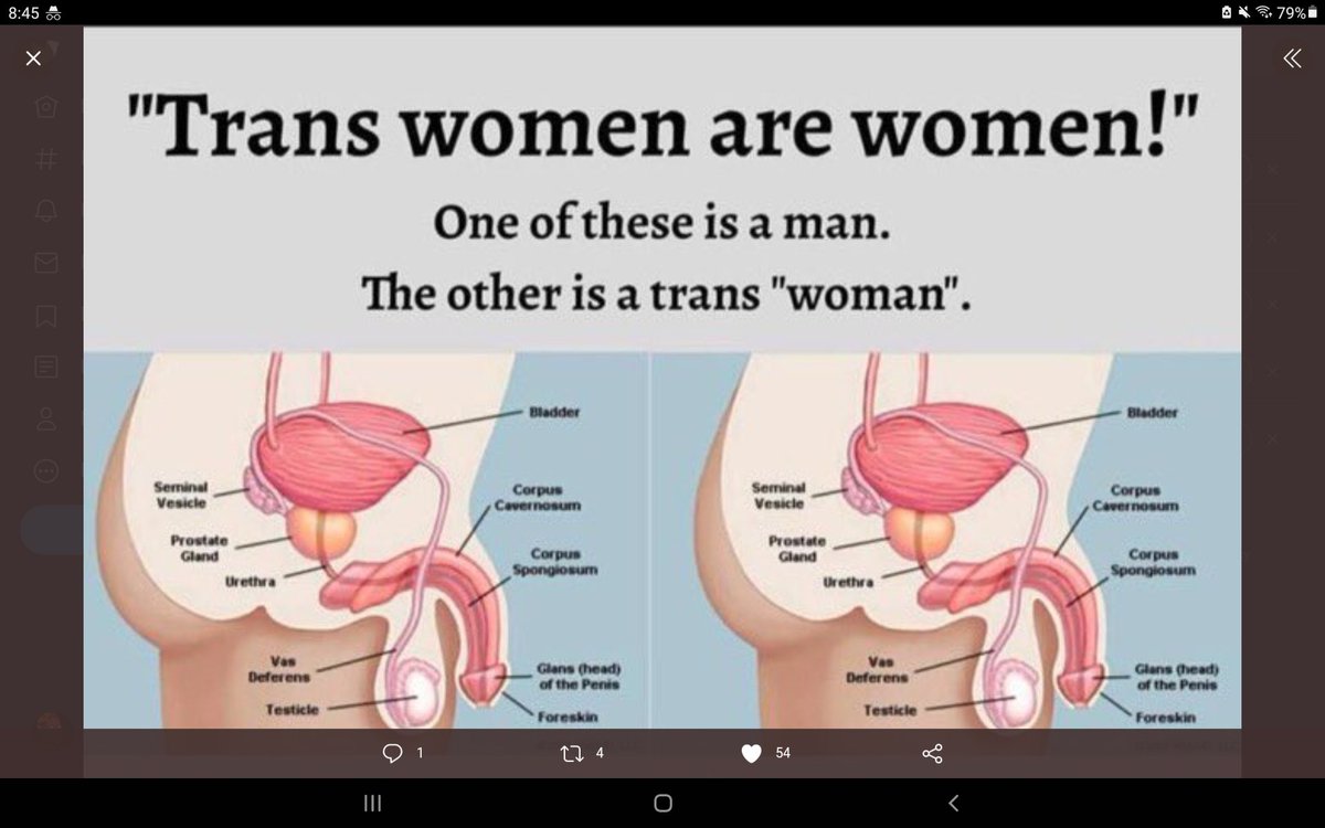 JennaStannis tweet media