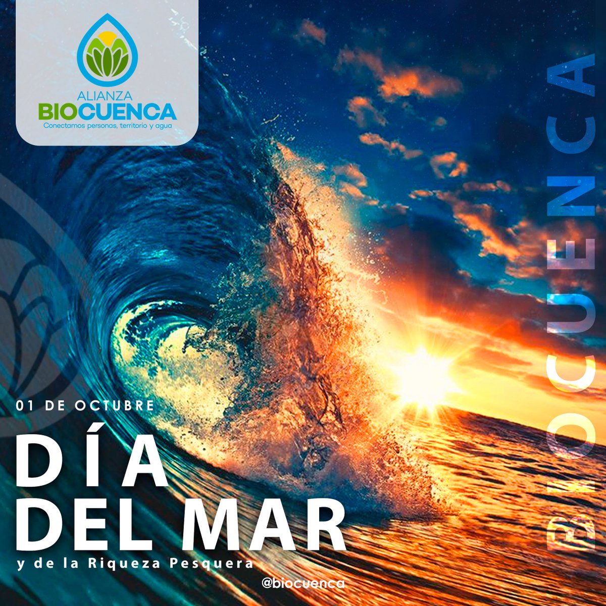 Biocuenca tweet media