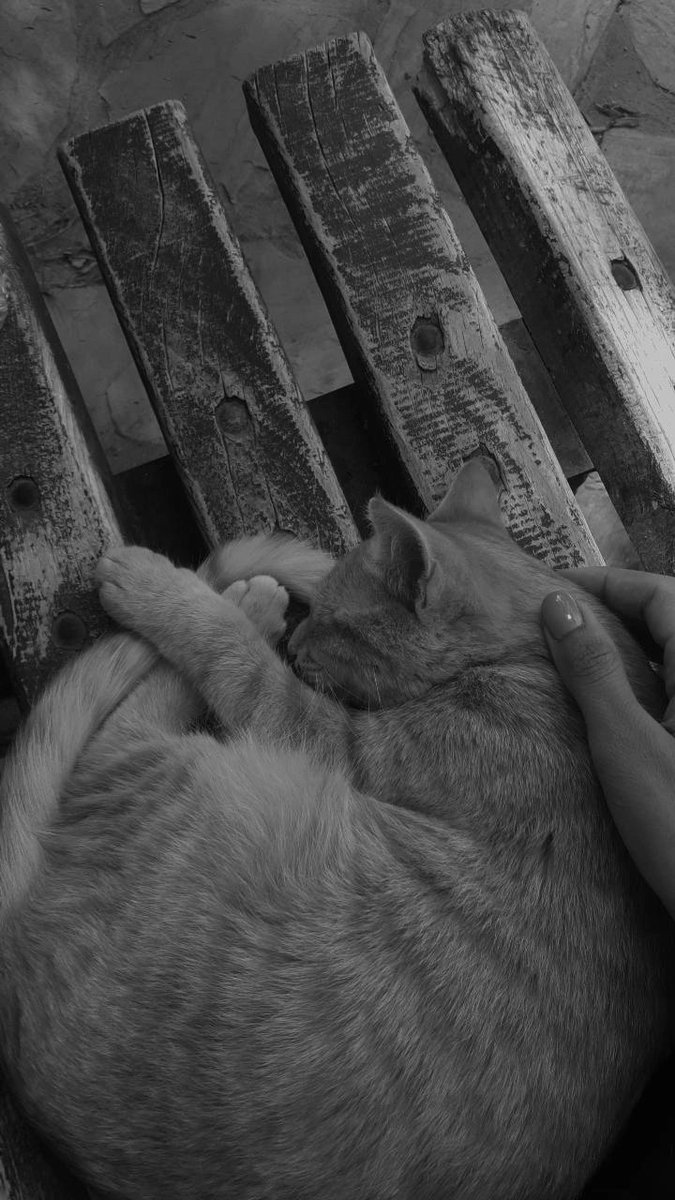 Şunun verdiği huzur&gt;&gt;&gt;