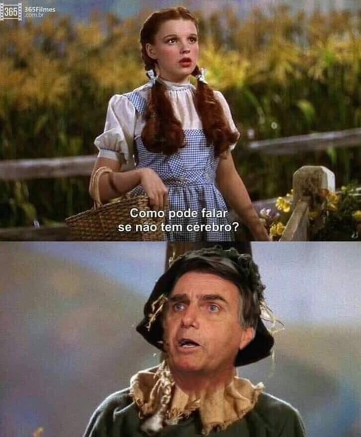 rowlobo's tweet photo. cansei de falar de política.
a pegada agora é cinema!
#magicodeoz #eleicoes2022 https://t.co/GoFiPKcTo1