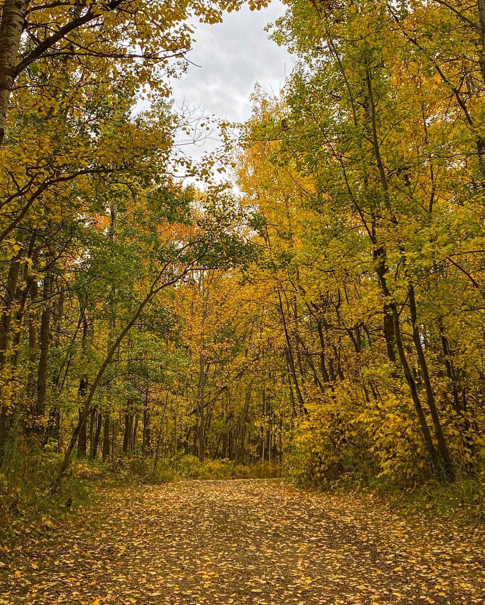 Carol Tonhauser tweet media