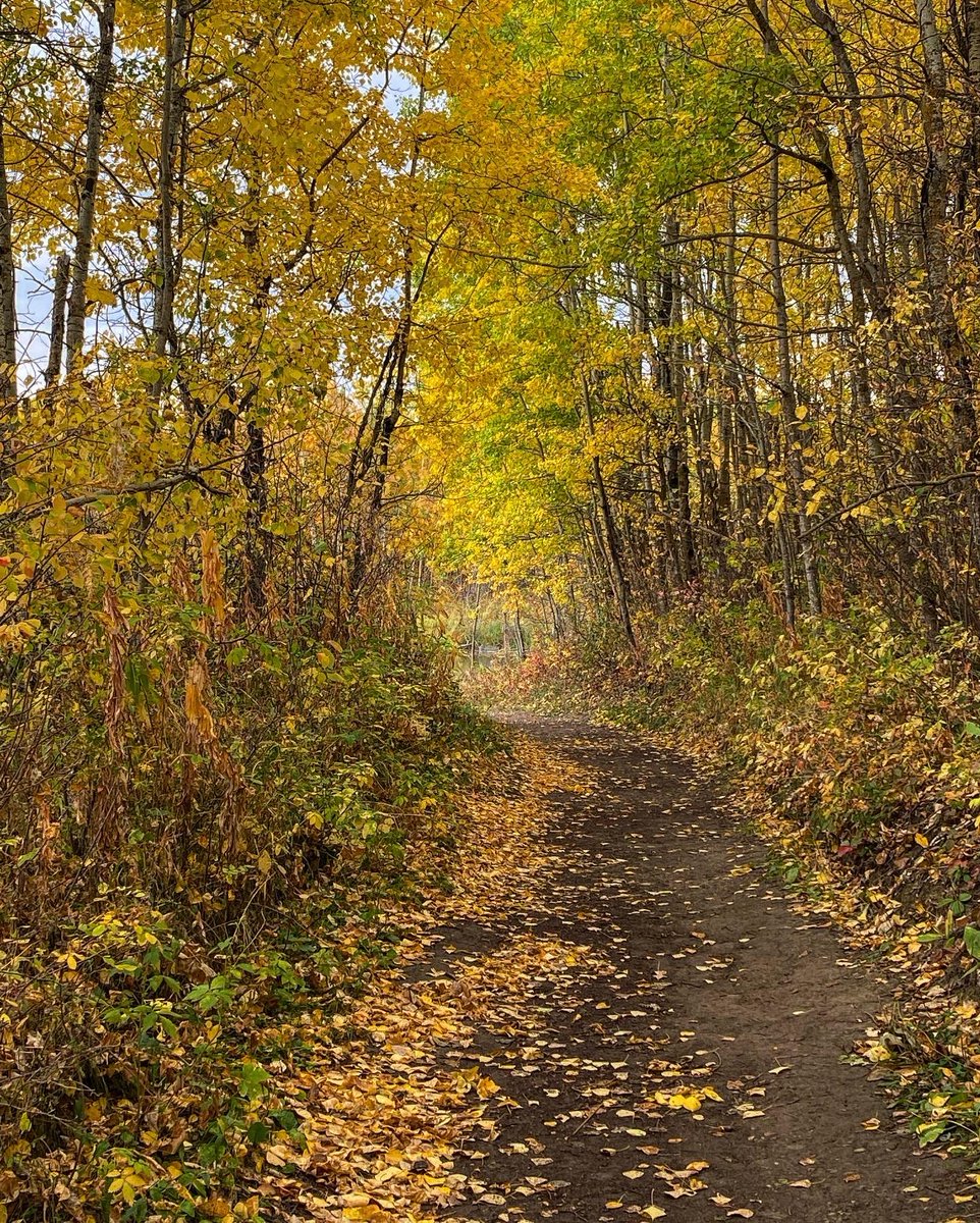 Carol Tonhauser tweet media