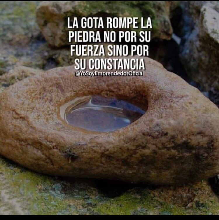La perseverancia es una virtud de los triunfadores...