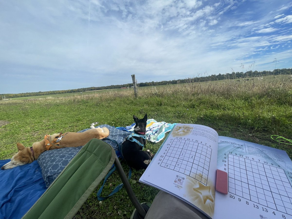 eporama's tweet photo. Hanging with the pups, some VT cows, and my @crypticcracking 500k book. Just waiting for the livestream tomorrow night. https://t.co/nT2zvpFUY9