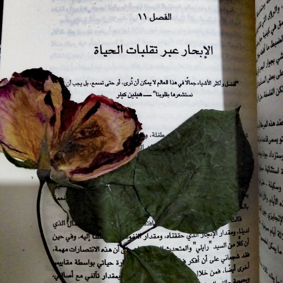 "أفضل وأكثر الأشياء جمالاً في هذا العالم لا يُمكن أن تُرى، أو حتى تُسمع، بل يجب أن نستشعرها بقلوبنا". 
-هيلين كيلر

#كلمات #أقوال #أقتباس #اليوم_العالمي_للقهوة