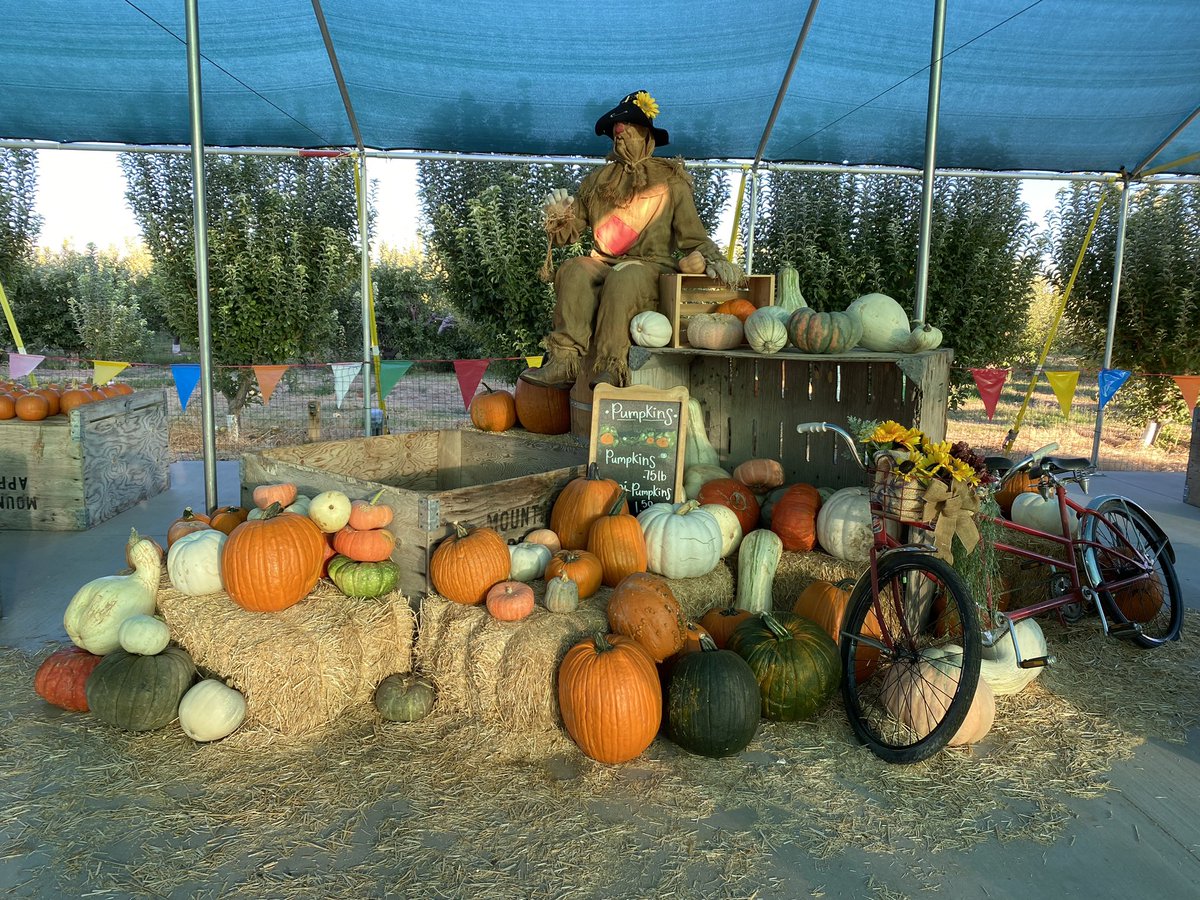 leight123's tweet photo. My daughter and I visited the beautiful Gilcrease Orchard this morning to pick pumpkins for our #prek discovery center. Happy October! https://t.co/FXPoZ9eY7g