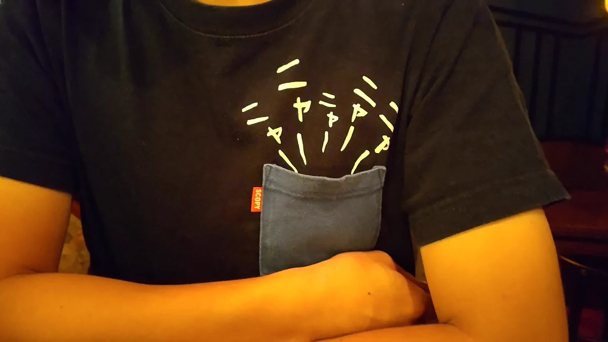にゃーにゃー鳴き声が見えるTシャツ。ポケットの中に猫？？