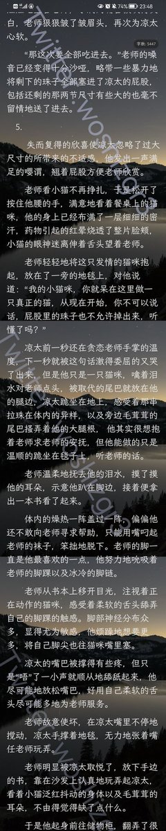 爱发癫的派师傅 tweet media