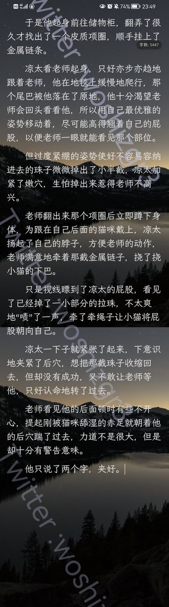 爱发癫的派师傅 tweet media