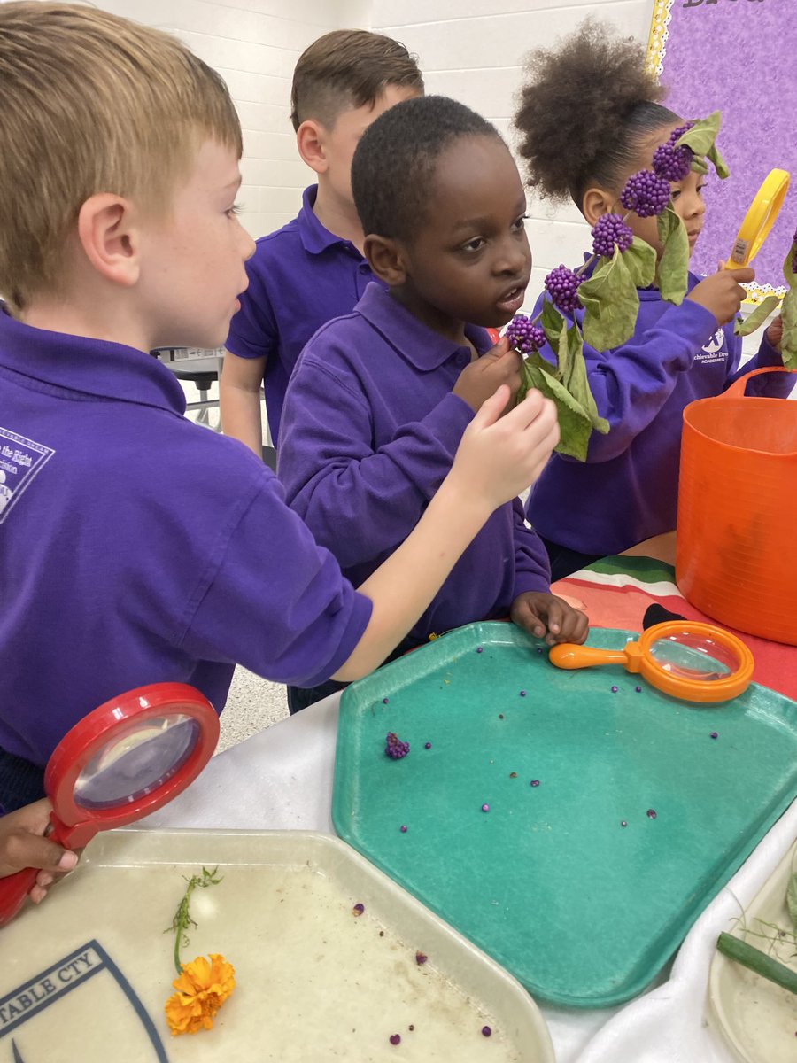 marietculver's tweet photo. When the storm changes your outdoor learning plan you quickly bring the outdoors in for a safe discovery experience #DiscoveryDaysSeatack @SeatackDream @vbschools @VBTitleI @VBGifted #PatternShapeDay https://t.co/je95tgX9DZ