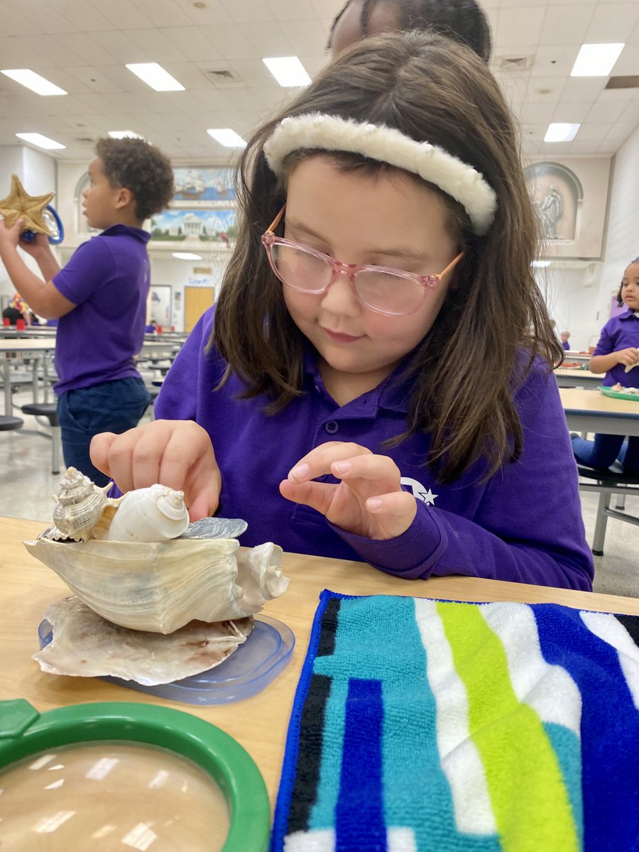 marietculver's tweet photo. When the storm changes your outdoor learning plan you quickly bring the outdoors in for a safe discovery experience #DiscoveryDaysSeatack @SeatackDream @vbschools @VBTitleI @VBGifted #PatternShapeDay https://t.co/je95tgX9DZ