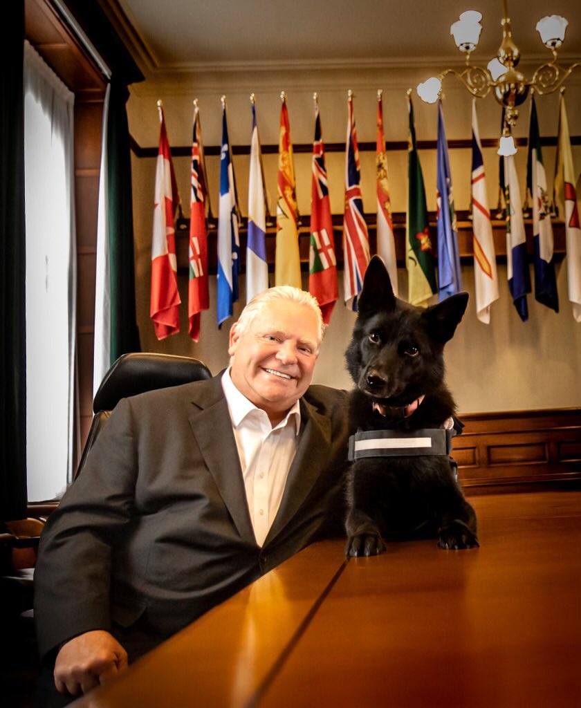 fordnation's tweet photo. Everyone meet Karma! This hardworking pup stopped by Queen’s Park for a visit last week. Karma is a proud member of the Toronto Police Dog Services Unit and specializes in Narcotic and Firearm detection. https://t.co/r0ECS6EiPB