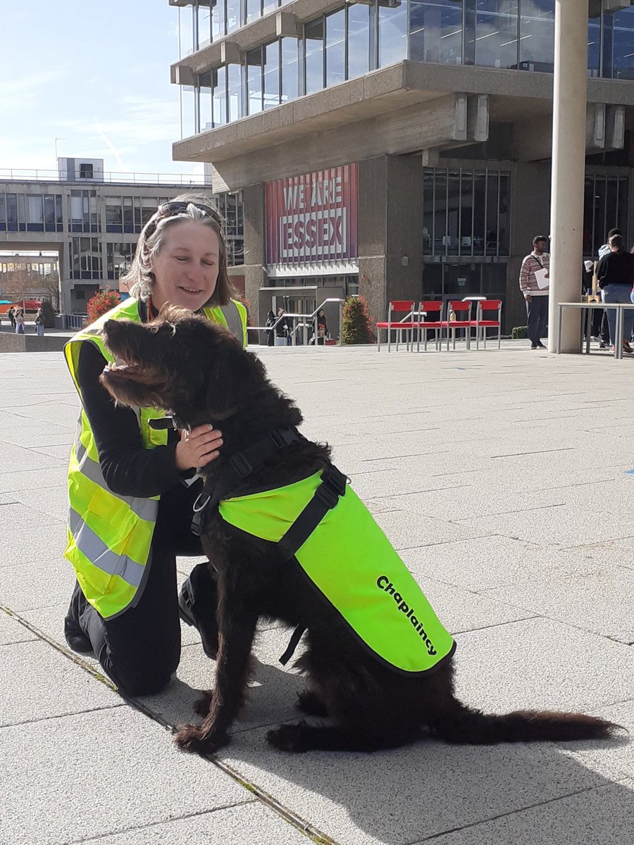 essexchaplain's tweet photo. First day of October and first day of @Uni_of_Essex life for new arrivals. We went for a wander this afternoon to chat &amp; welcome #essexuni #Essex #chaplaincy https://t.co/jAE5lKjo3r