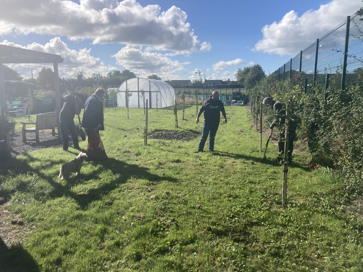 muckandmore's tweet photo. A bit of work going on at the allotment with half of the orchard planted out with daffodil bulbs and the other half to be planted out with bulbs supplied by @ANBorough This should provide colour from trees and bulbs in spring @JillyDougan @DavidGMaxwell https://t.co/Z0MaLcoQZE