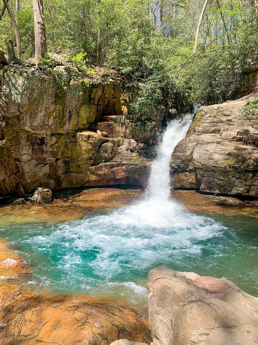 Overlookedinapp's tweet photo. SCENIC SPOTLIGHT ⛰️
Have you been to Blue Hole Falls? Located near Elizabethton, Tennesse, this short hike boasts multiple waterfalls and a swimming hole. 
What do you want to see as next week's Scenic Spotlight? https://t.co/p286g2Hnvp