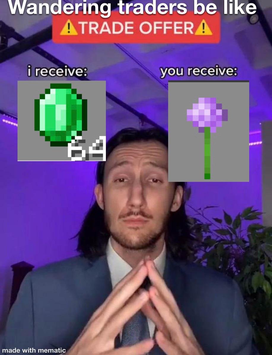 ServerAndGo's tweet image. my friends: a villager gave me a Diamond Sword

My villagers: