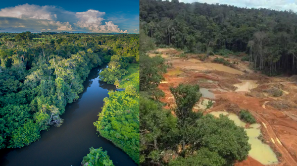 MarinaSilva's tweet photo. Amanhã, todos os brasileiros e brasileiras terão a chance de votar no que acreditam. O futuro da Amazônia, nosso maior patrimônio natural, está em jogo. E você tem o poder de defendê-la com o seu voto. https://t.co/tMtCV27ANd