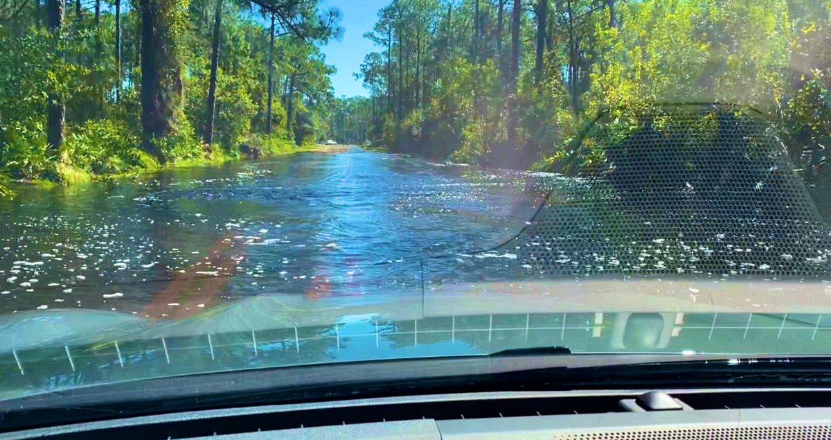 Reams Rd 9/30/22. A predictable outcome when you build roads through wetlands. Stop fighting Mother Nature! Her power will always be greater than your engineering standards. #riversnotroads #stopclearcutting #stopmassgrading