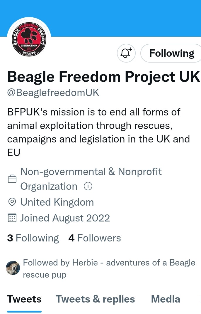 @beaglefreedom @2021Telmo @CampBeagleNE @grant_babs @hellsbellsus @TheCampBeagle @BeaglefreedomUK Why Aren't you Following Camp Beagle Supporters? Since August! Don't get it! No Tweets!