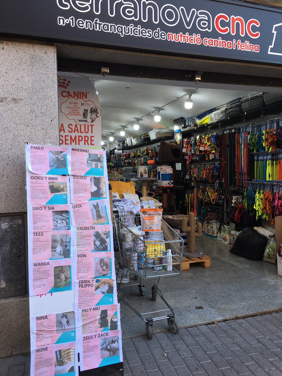 ecp_rubi's tweet photo. Tarde muy agradable ☀️a #rubicity buen momento para aprovechar las ofertas de nuestro #ComecioLocal en una nueva edición de #ForaStocs https://t.co/9H1HYEiMMy