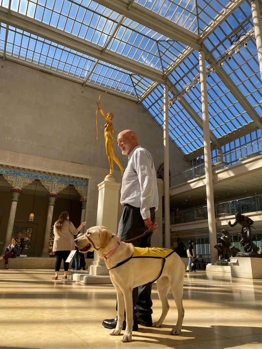 metmuseum's tweet image. September was #NationalGuideDogAwareness Month! But they’re welcome at The Met all year long. 🐾 

This past week the @GuideDogFdn hosted a guide dog training classes at The Met. We hope to see one of these #futureguidedogs back at the Museum soon! 

#MetAccess