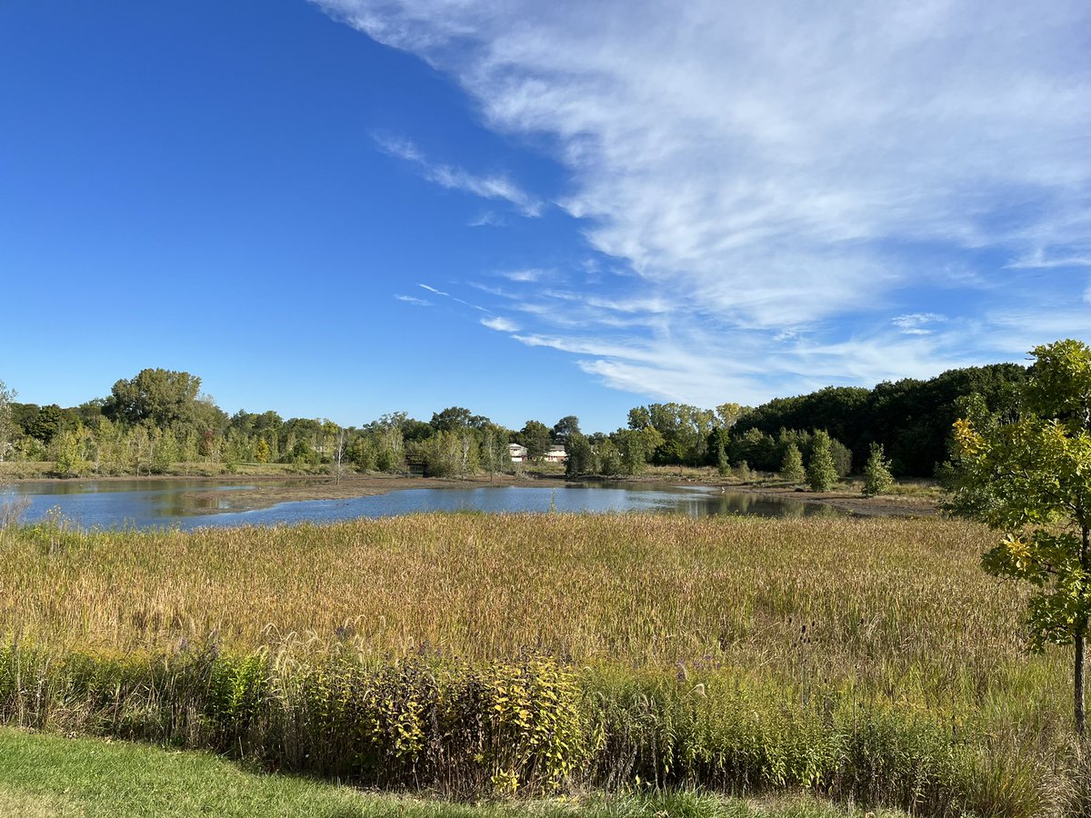 Lucas Manuszak tweet media