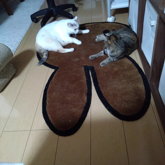 見つめあい、秋 