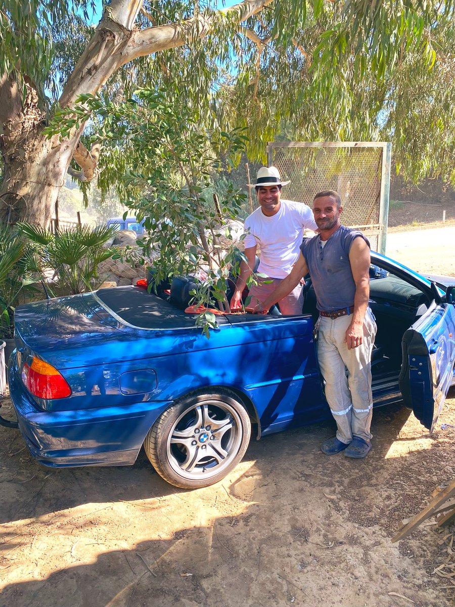said4bz's tweet photo. A new day, a new adventure! Today my colleague José and I went to the local garden centre in #Alger to shop for new plants🪴🌴 I think we succeeded quite well. #Algerie https://t.co/SaFYK489Kg